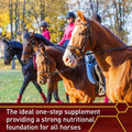 Vita Flex Pro Accel Health & Wellness, Horse Supplement, 240-Day Supply