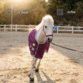 BARN & STABLE Breathable and UV Protective Tear-Resistant Mesh Horse Fly Sheet Comfy Equine Summer Sheet with Removable 