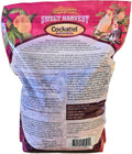 Sweet Harvest Cockatiel Bird Food (No Sunflower Seeds), 4 lbs Bag - Seed Mix for Cockatiels