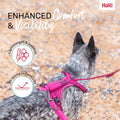 Halti Anatomy Dog Harness with Handle | Size L, Magenta