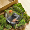 Poen Hermit Crab Wheel Toy, Silent Hamster Wheel, 4.13 x 2.95 x 3.34 Inch