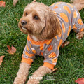 Fitwarm Pumpkin Dog Pajamas, Thanksgiving Outfit for Small Dogs Boy Girl, Pet Onesie, Brown, Orange