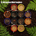 12-Pack Small Feeding Dish for Reptiles, Colorful Feeder Bowls for Isopods, Springtails, Dubia Roaches & Dwarf Invertebr