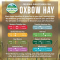 Oxbow Timothy Hay & Orchard Blend, Rabbit & Guinea Pig Hay, USA, 40 oz