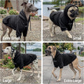Tuff Pupper Dog Hoodie | Premium Quality Insulated Fabric | Ultra Soft Interior for Superior Comfort | Elastic Cuffs & D