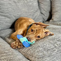Nylabone Puppy Chew 2-in-1 Teething Freezer Bone Dog Chew Toy
