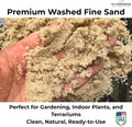 GARDENWISE Fine Sand for Plants – Horticultural Sand for Succulents, Cactus, Potting Mixes, Terrariums & Decorative Indo