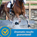 Farnam Fluidflex Glucosamine Joint Supplement for Horses, 32 oz., 32 Day Supply