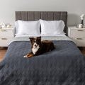 PetAmi Waterproof Couch Cover for Dog Nonslip Bed Sofa Blanket, 102x82 Gray