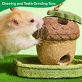 Guinea Pig Toys 2 Pack Guinea Pig Chew Toys Rabbit Treats Hamster Toys