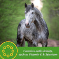 Farnam Vita Plus Balanced Multi-Vitamin & Mineral Horse Supplement, Vitamin Supplements, Provides Balanced Nutrition to 
