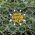 Eaton Pet and Pasture Naturally Grown, Premium, 1st Cut Blend, Western Timothy Hay Orchard Blend, Small Animal Food, Sus
