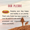 Cadet Premium Grade Pressed Beef Hide Bones, Long Lasting Rawhide Dog Chews, 6.5 Inch (12 Count)