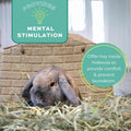 Oxbow Western Timothy Hay, Rabbit & Guinea Pig Hay, High Fiber, USA, 20 lbs