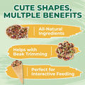 Zoody Parakeet Treats Crunchy Cups with Real Seeds & Grains 2 oz