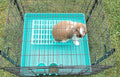 Saguaro Acres Rabbit and Small Animal Cage Resting Mat for Wire Floored Cages - Pack of 6 (Pink, Blue, Teal, Purple, Gre