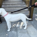 Double Ended Dog Leash,for Obedience Training Easy to Use,Lightweight,Soft for Large and Medium Dogs