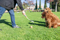 Chuckit! Cannon 18M Dog Ball Launcher, 18 Inch Size, Includes 3 Balls Total