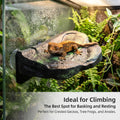 Magnetic Reptile Ledge, Rock Basking Platform for Terrarium