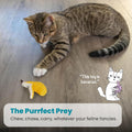 Catstages Dental Banana Cat Toy with Catnip, Dental Mesh & Crinkle Sound, Interactive Kicker for Indoor Cats & Kittens, 
