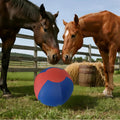 18" Jolly Ball for Horses