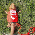 Romansk Bearded Dragon Harness and Leash Set