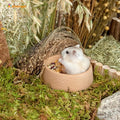 Niteangel Wooden Hamster Food Bowl: Beech Stable & Hammy Pattern for Dwarf