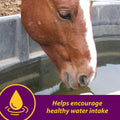 Farnam Horse Health Apple-Dex Apple Flavored Electrolytes Powder for Horses, 30 pounds