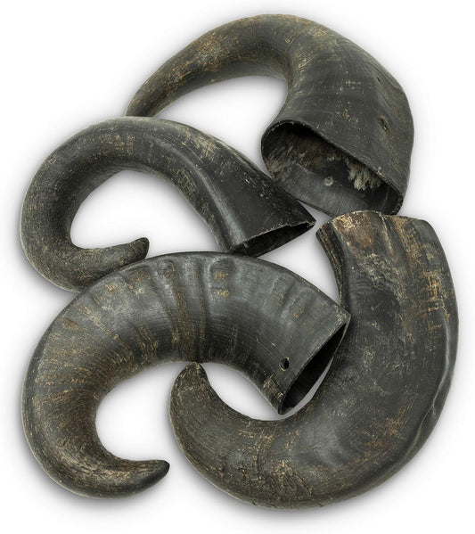 Wild Eats Water Buffalo Horn Dog Bones and Chews, 4 Pack, Medium, No Hide