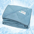 PetAmi Premium Cooling Dog Blanket | Lightweight Fluffy Pet Throw Blanket Bed Cover for Dogs, Cat, Puppies | Pet Blanket Furniture Protector Couch Sofa | Reversible Fuzzy Cozy | 29x40, Dusty Blue