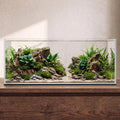 6.6 Gallon Rimless Low‑Profile Aquarium, Long Shallow Rimless Fish Tank