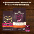 Wellness CORE Small Breed Mini Meals Chunky in Gravy Adult Wet Dog Food, Grain Free, Natural, Chicken and Tuna Dinner Re