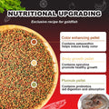 Floating Goldfish Food Pellets – 12oz Pond Fish Food Natural Color Enhancing, Promotes Growth with Natural Antarctic Kri