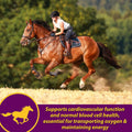 Farnam Horse Health Red Cell Pellets, Vitamin-Iron Mineral Supplement for Horses, Iron Horse Supplement, 4 Lbs., 64-Day 