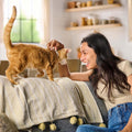 Meow Mix Gravy Bursts, Dry Cat Food, Savory Chicken Flavor, 13.5 lb. Bag