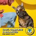 Temptations Cat Treats, Classic Crunchy and Soft Cat Treats, Blissful Catnip Flavor, Catnip Treats, 16 oz. Tub