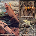2PCS 11.8"x7.8" Natural Thickened Reptile Cork Bark Terrarium Background