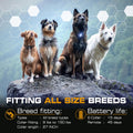 INVIROX Ultra K9 Dog Training Collar with Remote, Shock Collar for Dogs