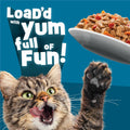 Friskies Purina Fully Load'd Wet Cat Food Variety Pack, 12 Count, 5.5 oz