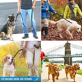 Heavy Duty Dog Leash - 2 Handles by Padded Traffic Handle for Extra Control, 6foot Long - Perfect for Medium to Large Do