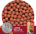 Hikari® Cichlid Gold® Large Floating Pellets for Cichlids and Larger Freshwater Fish, 2.01 oz (57g)