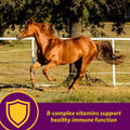 Farnam Horse Health Red Cell Pellets, Vitamin-Iron Mineral Supplement for Horses, Iron Horse Supplement, 4 Lbs., 64-Day 