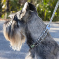 Herm Sprenger Chrome Plated Steel Dog Collar with Quick Release ClicLock Buckle and Biothane Insert Training Collar for 
