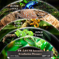 8W Reptile T5 HO UVB 12.5" 5.0 Light Fixture with Tube, Low-to-Moderate UVB Hood for Terrariums, Suitable for Arid Repti