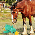 Horse Toys Squeaky Squeeze Plush Duck, Interactive Squeaky Duck Toy for Horses to Play with, Hanging Plush Enrichment To