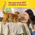 Meow Mix Irresistibles, Soft Cat Treats Made with Real Salmon, 5 Pouches