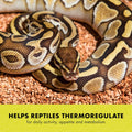 Zilla Heat Mat for Reptiles, Terrarium Heater, Small, 8 Watt