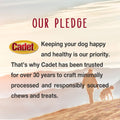 Cadet Gourmet Triple Chews Long-Lasting Pork Hide Sticks with Apple and Duck, Healthy Dog Treats for Small & Large Dogs, 6 Count