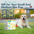 Automatic Dog Ball Launcher - Dog Ball Fetch Machine, Ball Thrower for Dogs, for Small to Medium Sized Dogs, Interactive