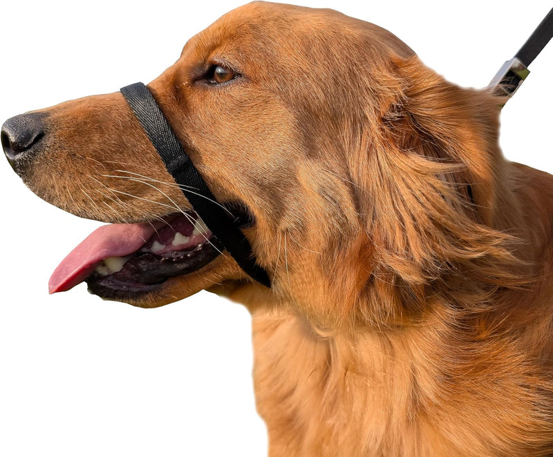 PetsProMax No-Pull Dog Headcollar for Extra Large Dogs; Instant Stop Pulling; Gentle Training Collar for Dogs; Comfortab